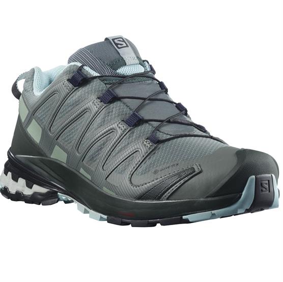 Salomon Xa Pro  D V  Gtx Womens  Green Gables