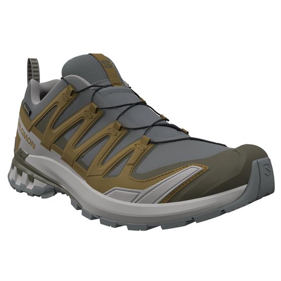Salomon Xa Pro  D V  Gtx Mens  Sedona Sage   Plantation