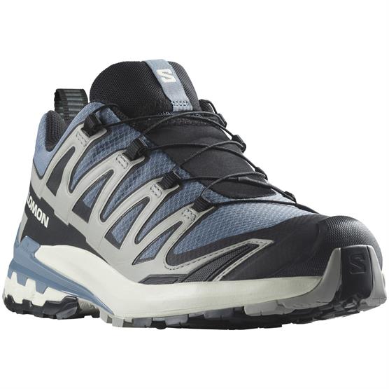 Salomon Xa Pro  D V  Gtx Mens  Flint Stone   Ghost