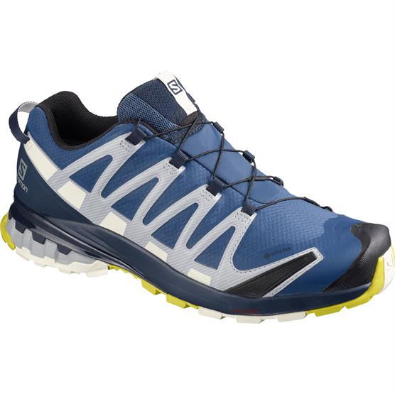 Salomon Xa Pro  D V  Gtx Mens  Dark Denim