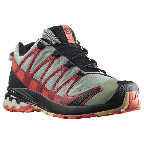 Salomon Xa Pro  D V  Gtx Womens  Wrought Iron   Burnt Sienna