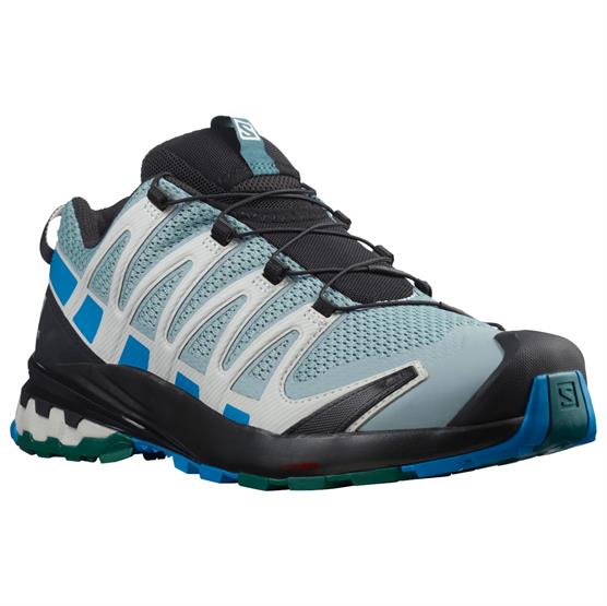 Salomon Xa Pro  D V  Mens  Blue