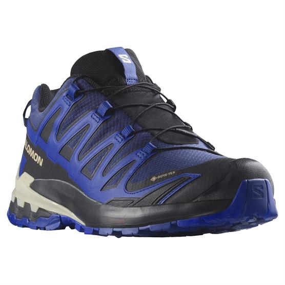 Salomon Xa Pro  D V  Gtx Mens  Blue Print   Surf The Web