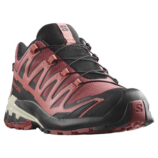 Salomon Xa Pro  D V  Gtx Womens  Cow Hide   Black