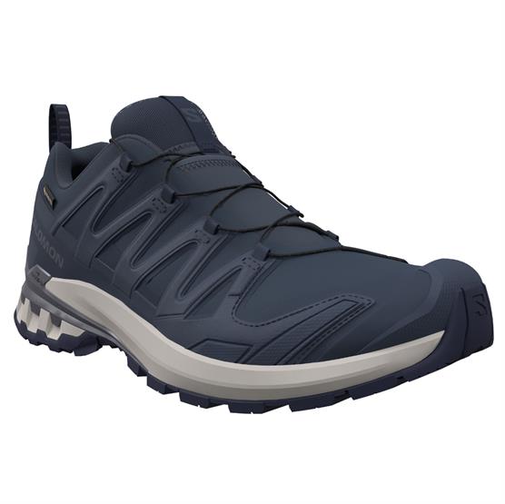 Salomon Xa Pro  D V  Gtx Mens  Spellbound   Grisaille