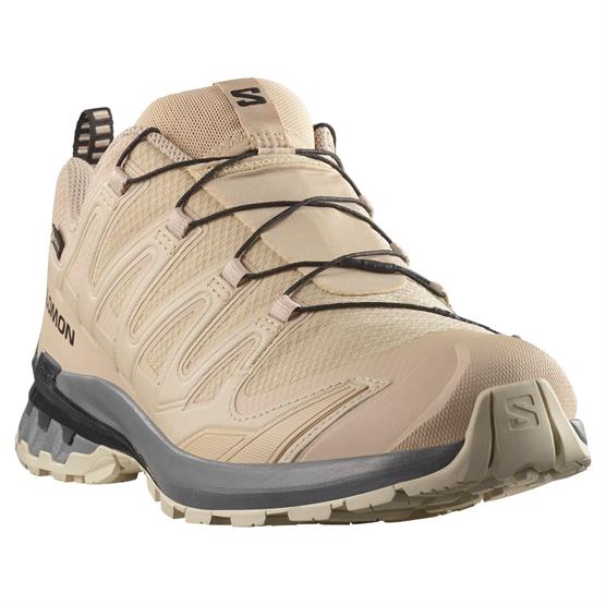 Salomon Xa Pro  D V  Gtx Mens  Oxford   Castlerock