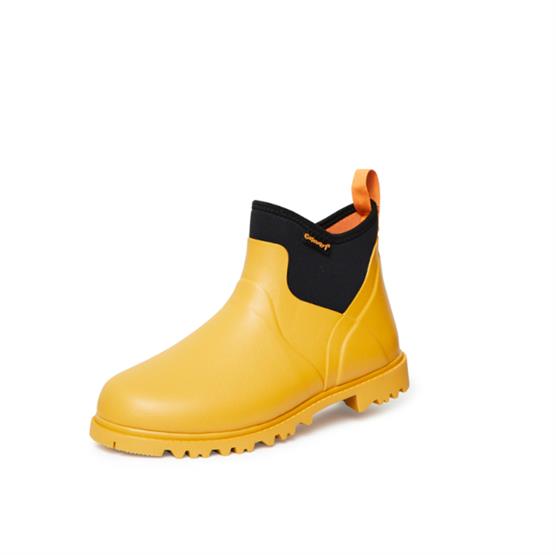 Gateway Ascot Lady    Mm  Amber