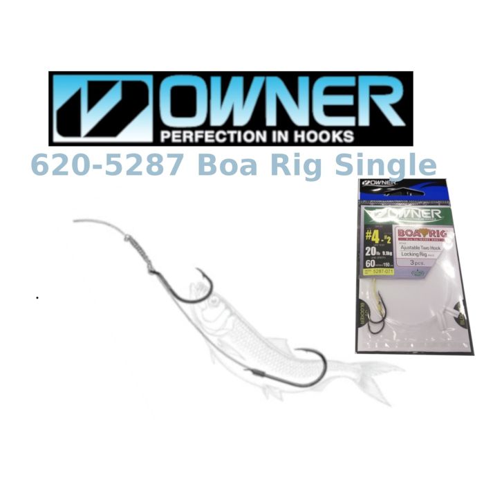 Owner Boa Rig Single