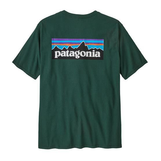 Patagonia P-6 Logo T-shirt i Cascade Green - Øko-venlig stil