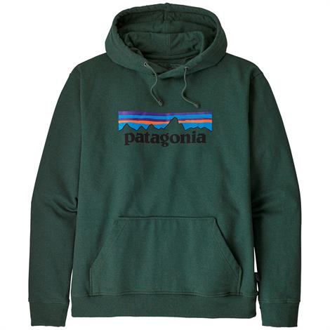 Patagonia P-6 Logo Hættetrøje i Alder Grøn - Tilbud!
