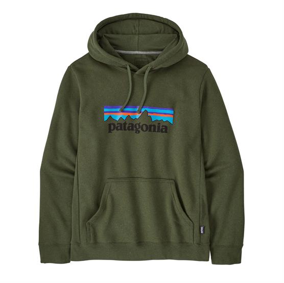 Patagonia P-6 Logo Hættetrøje i Torrey Pine Grøn