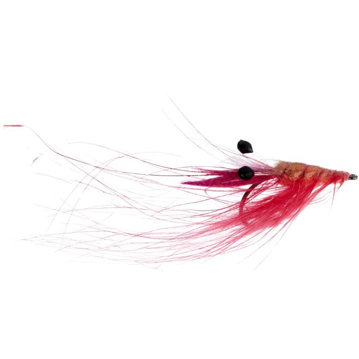 A  Jensen Crangon Shrimp Pink