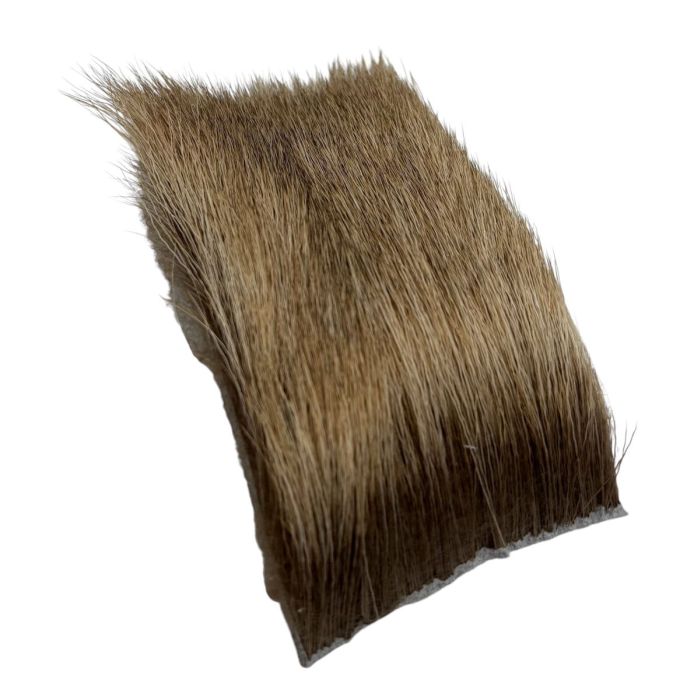Veniard Elk Body Hair Light Bull