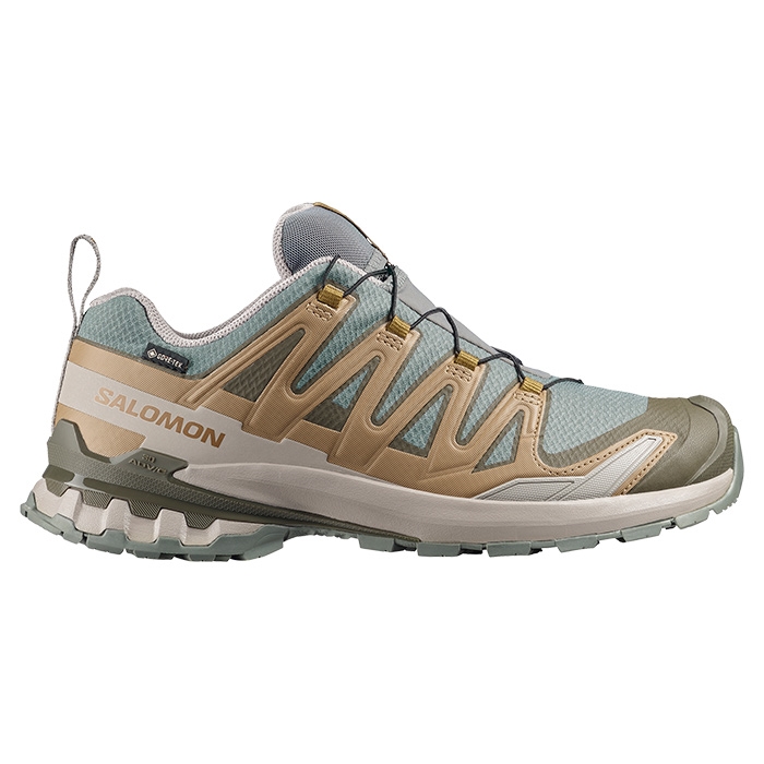 Salomon Xa Pro  D V  Gtx Herre   Mænd  Sedsa Brilli Paloma    Uk     Vandresko