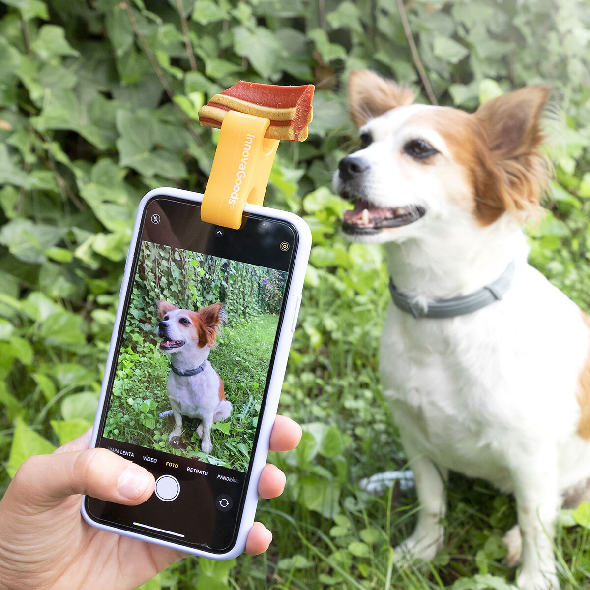 Klip Af Selfie Til Kæledyr Pefie Innovagoods