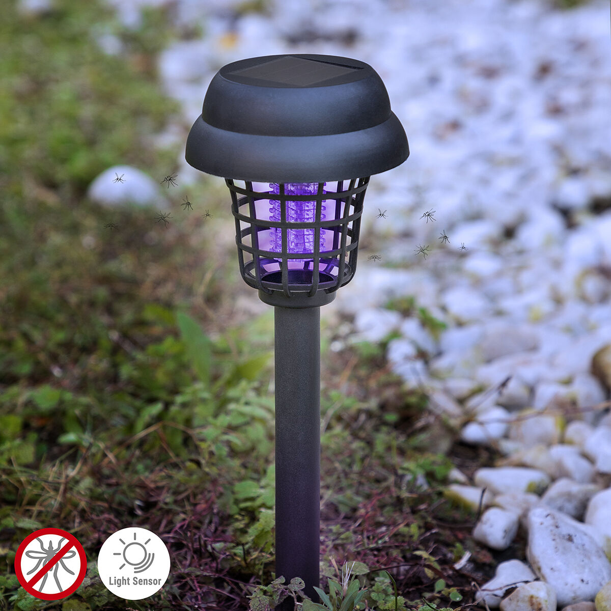 Myg Drab Solar Have Lampe Garlam Innovagoods