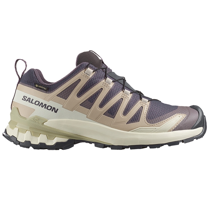 Salomon Xa Pro  D V  Gtx Kvinder   Damer  Iron Oxford Alfalf      Uk     Vandresko