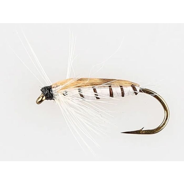 Dano Fly Corixa Nym Std