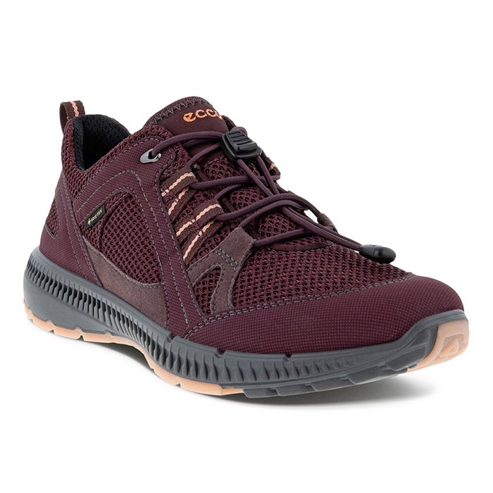 Ecco Terracruise Ii Kvinder   Damer Gtx  Fig Fig    Hverdagssko