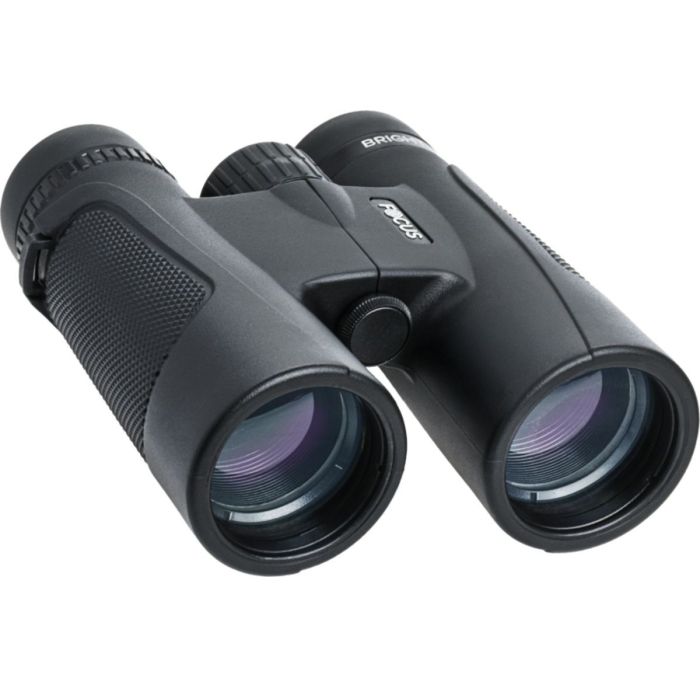 Focus Bright Kikkert  X