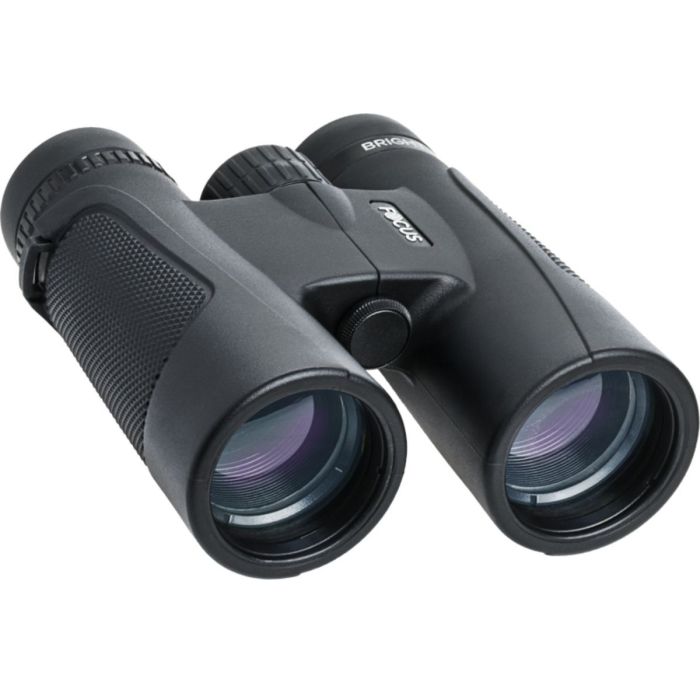 Focus Bright Kikkert  X