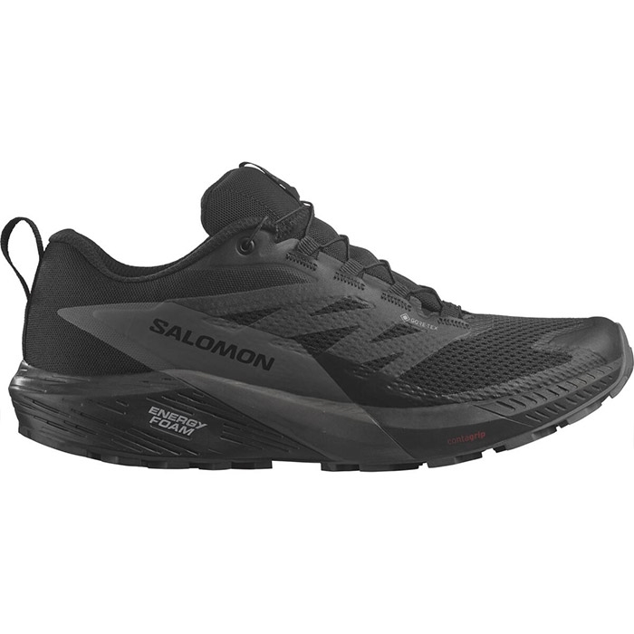 Salomon Sense Ride 5 GTX - Sort Magnet Trailsko på tilbud!