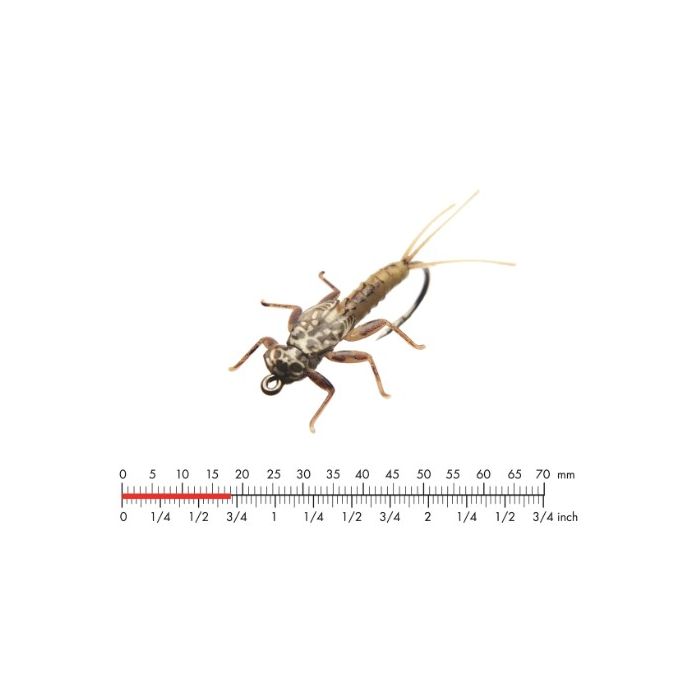 J:on Mayfly Nymph   Sulphur