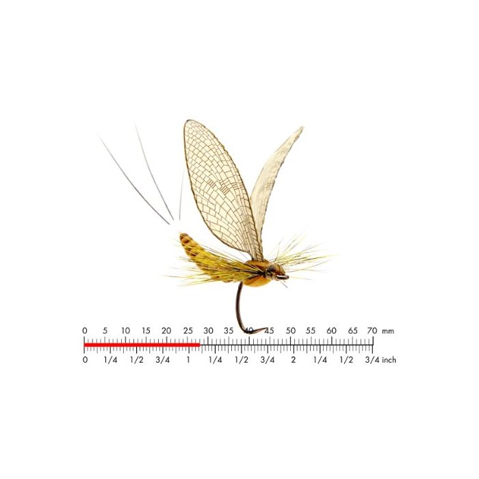 J:on Mayfly Dun   Cinnamon Brown