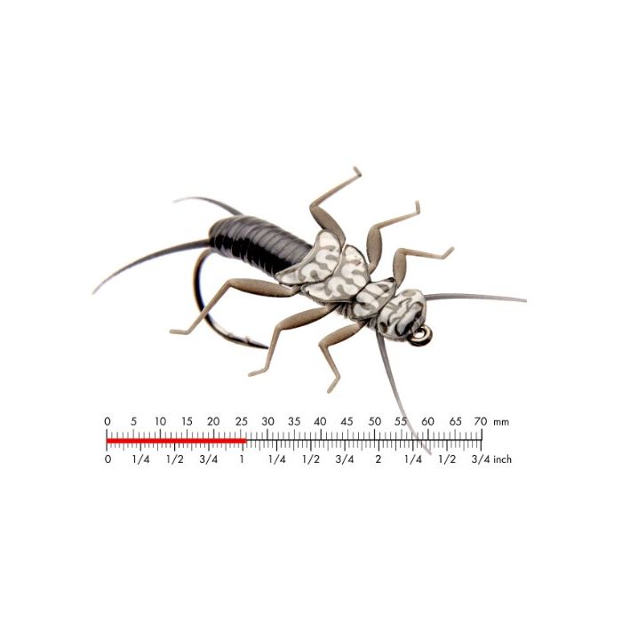 J:on Stonefly Nymph   Black