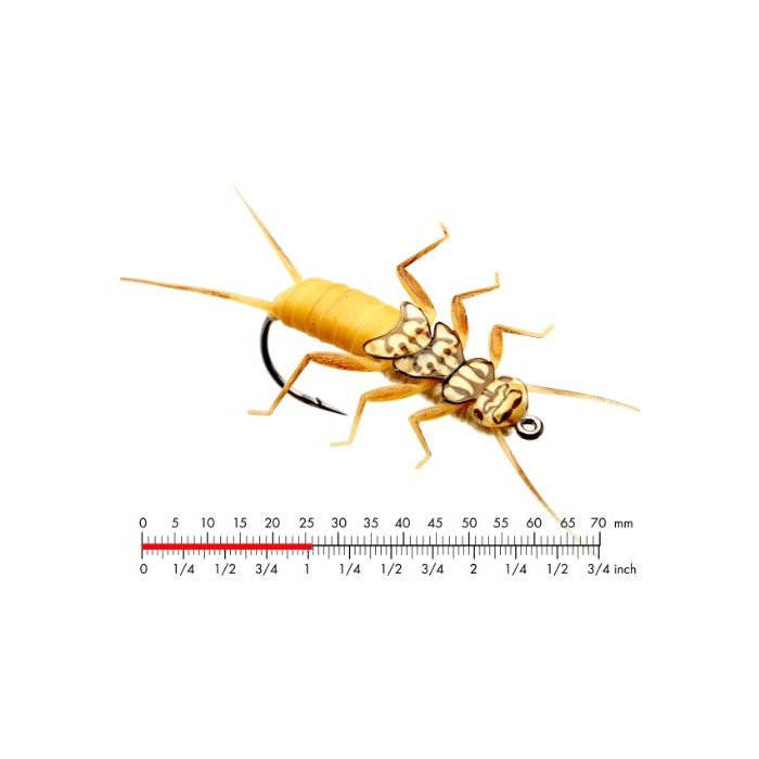 J:on Stonefly Nymph   Gold