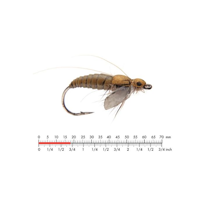 J:on Caddis Pupa   Olive Brown