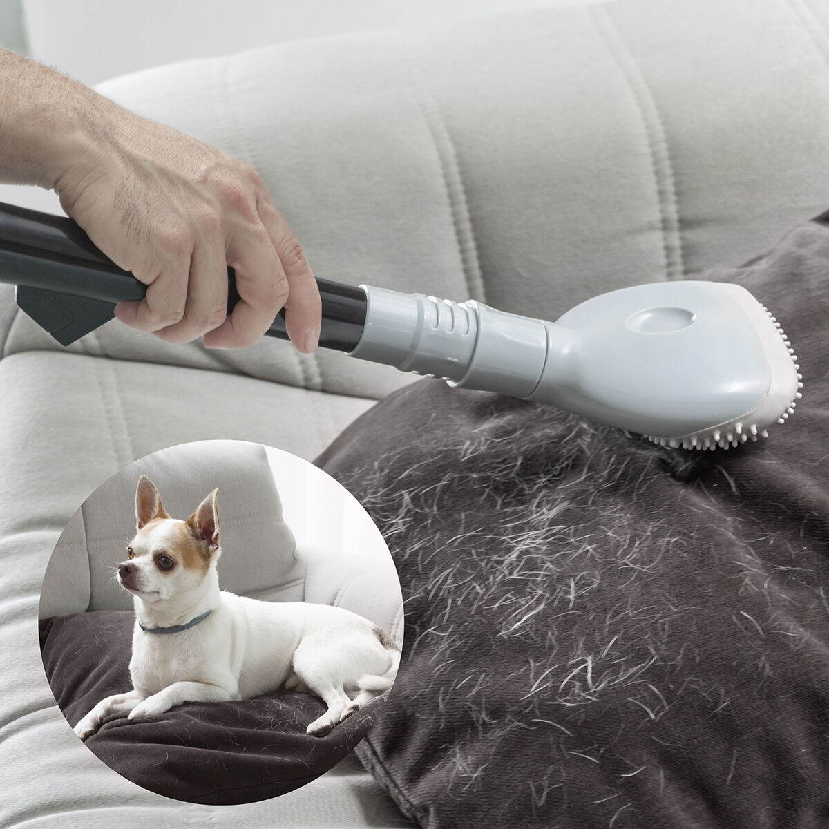 Børste Til Støvsuger Smoovah Innovagoods