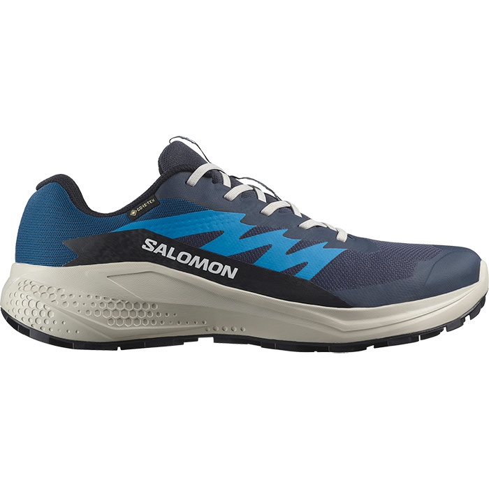 Salomon Alphaglide GTX Vandresko til Mænd – Blå Nights