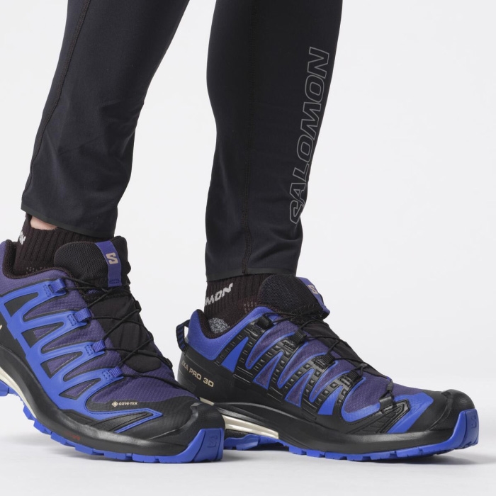 Salomon Xa Pro 3D V9 GTX Vandresko til Mænd - Blå