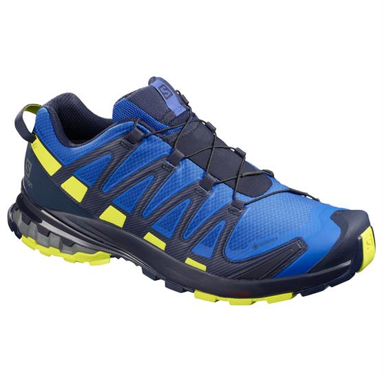 Salomon XA Pro 3D V8 GTX Vandresko til Mænd - Blå