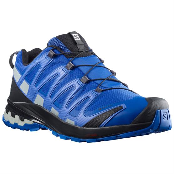 Salomon Xa Pro  D V  Gtx Mens  Turkish Sea   Black