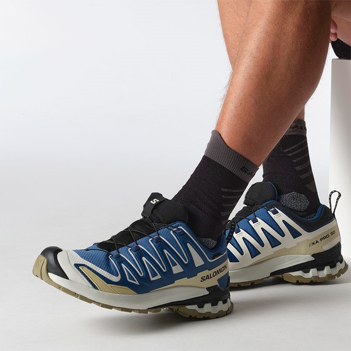 Salomon Xa Pro 3D V9 GTX Vandresko til Mænd – Blå Tilbud!