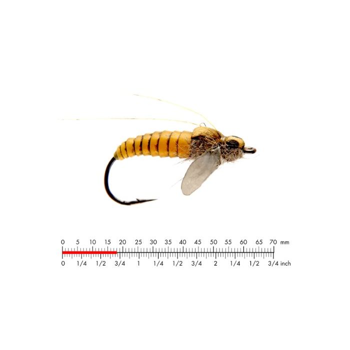 J:on Caddis Pupa   Yellow