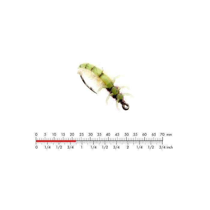 J:on Caddis Larva   Green
