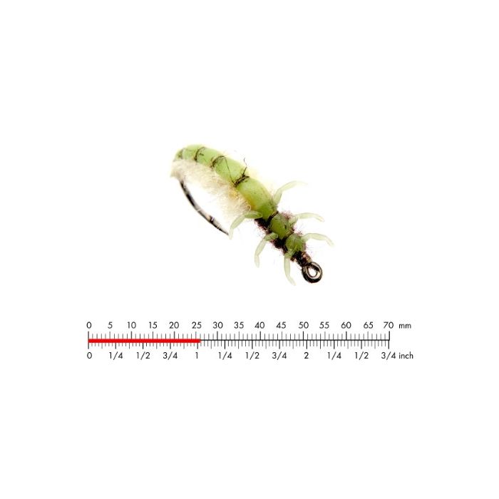 J:on Caddis Larva   Green