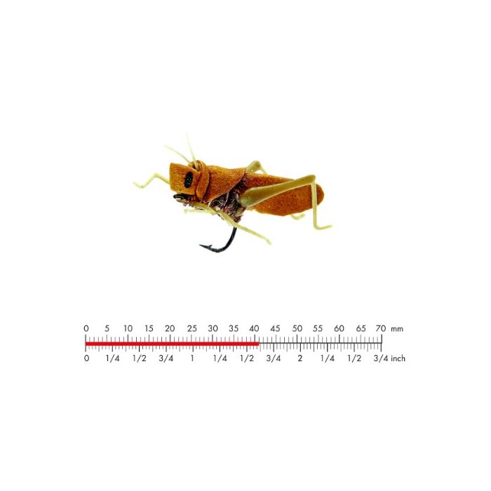 J:on Hopper   Cinnamon Brown