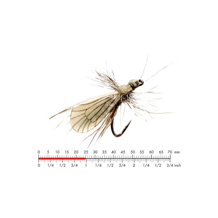 J:on Caddis Adult   Ash Grey