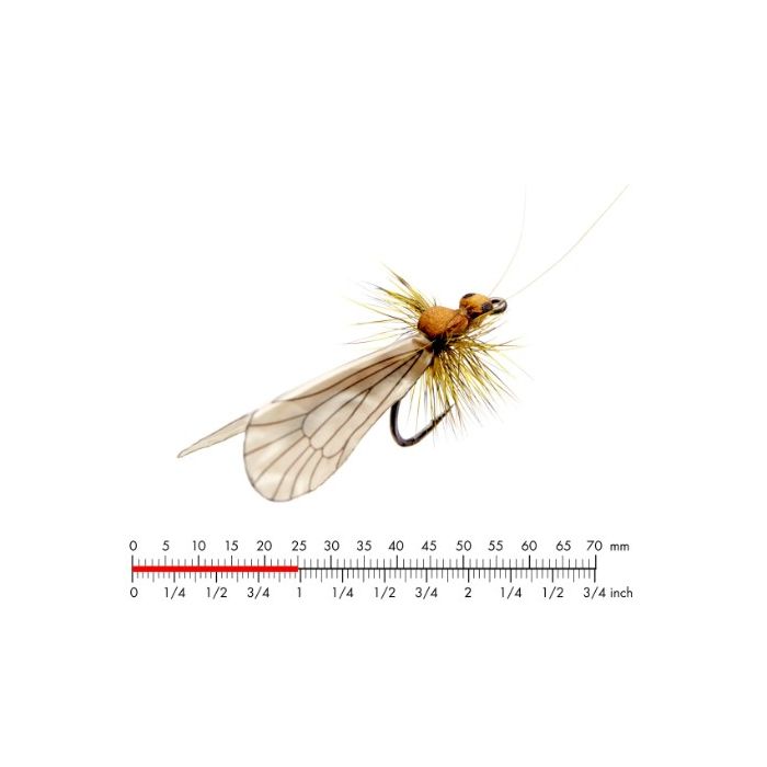J:on Caddis Adult   Cinnamon Brown