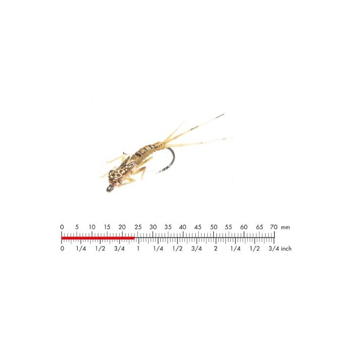 J:on Tungsten Mayfly Nymph   Olive Brown