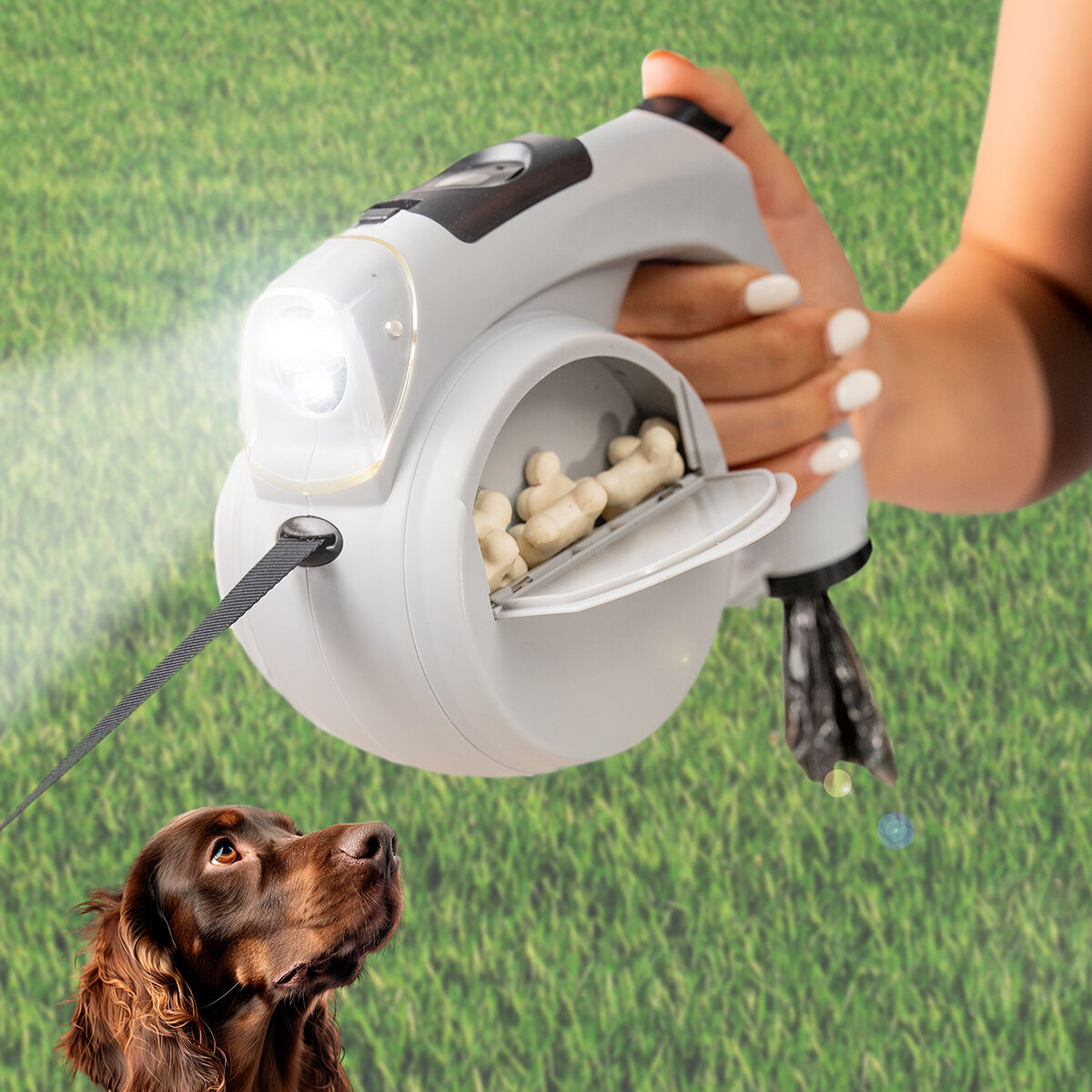 Udtrækkelig Hundesnor  I  Leashic Innovagoods